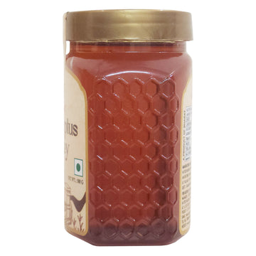 Eucalyptus Honey - Herbal & Respiratory Care | Super Bee