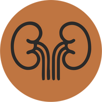 Kidney Health