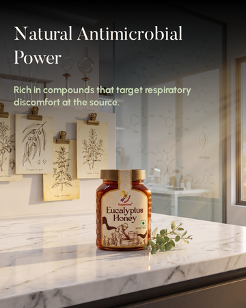 Eucalyptus Honey - Herbal & Respiratory Care | Super Bee