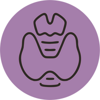Thyroid